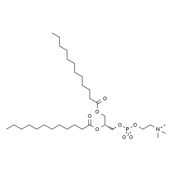 DLPC；1,2-二十二酰基-SN-glycero-3-胆碱磷酸