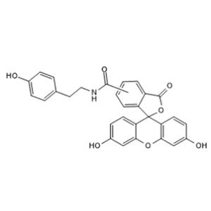 Fluorescein Tyramide