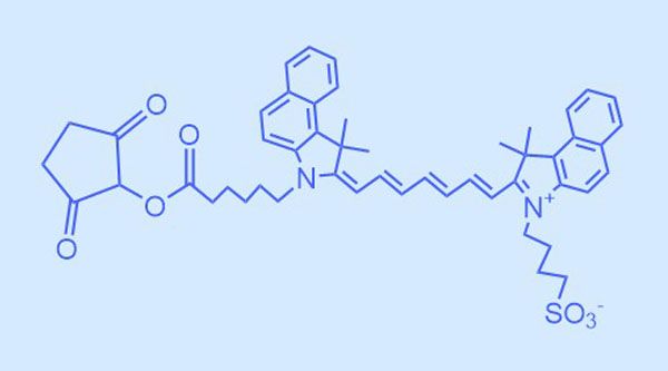 ICG-NHS(mono-sulfo-cy7.5 NHS)吲哚菁绿活性酯