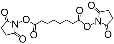 辛二酸二(N-琥珀酰亚胺基酯)