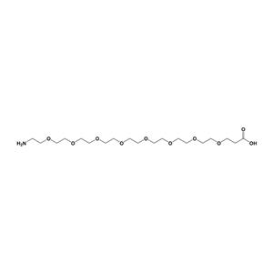 Amino-PEG8-acid