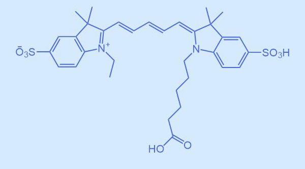 Cy5-SE;Cy5 NHS Ester