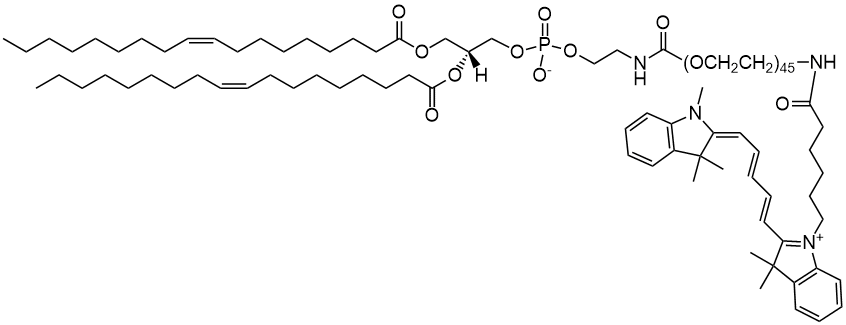 DOPE PEG(2000)-N-Cy5