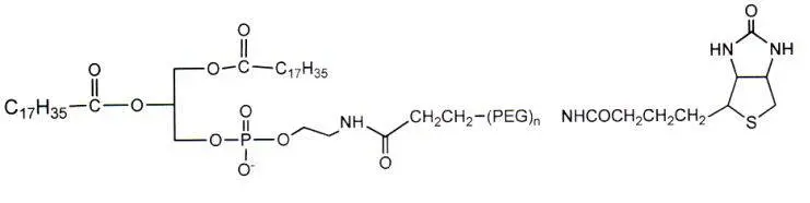 磷脂和生物素修饰的PEG衍生物 85437-57-0，DSPE-PEG-Biotin 详情介绍