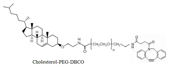 CLS-PEG2000-DBCO，DBCO-PEG2000-Cholesterol 是粉末状试剂，仅供科研实验使用