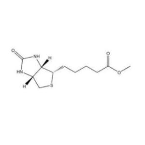 D-生物素甲酯