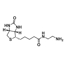 Biotin-NH2,N-(2-氨基乙基)生物素胺