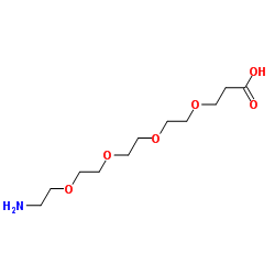 Amino-PEG4-COOH