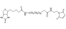生物素和马来酰亚胺修饰的高分子PEG Biotin-PEG-Mal，Biotin-PEG-Maleimide