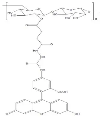 荧光素异硫氰酸酯-葡聚糖Fitc-Dextran，60842-46-8，FITC偶联葡聚糖标记物