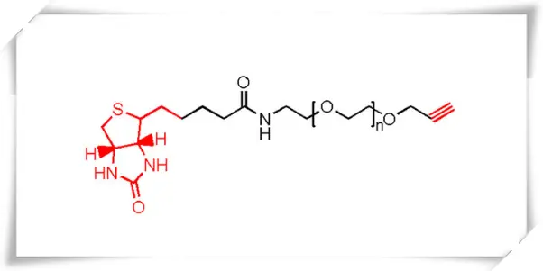 Biotin-PEG-Alk，Biotin-PEG-Alkyne，生物素-聚乙二醇-炔烃科研用试剂供应