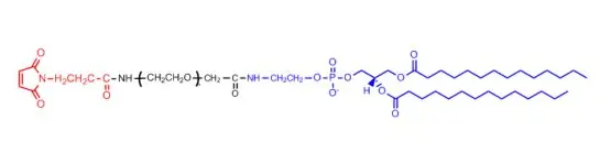DMPE-PEG-Mal 二肉豆蔻酰磷脂酰乙醇胺-聚乙二醇-马来酰亚胺供应