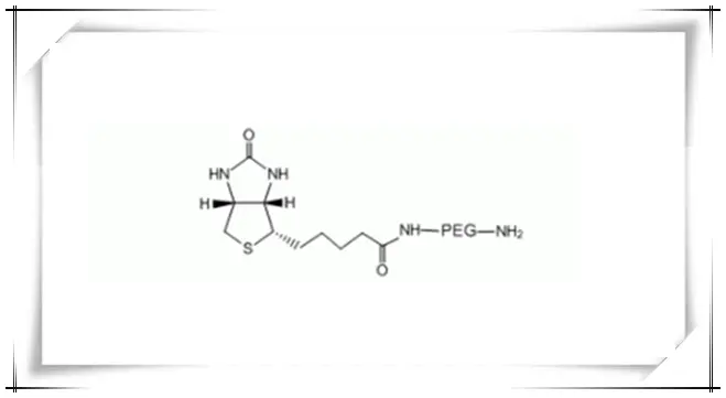 供应氨基化PEG试剂|Biotin-PEG-amine|Biotin-PEG-NH2|生物素PEG氨基