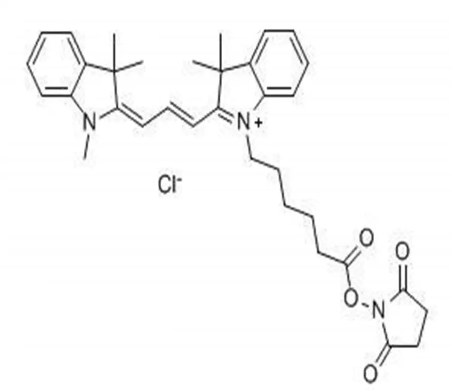 Sulfo-Cyanine3 NHS ester|146368-16-3|sulfo Cy3-SE|CY3-NHS酯|带有氨基的