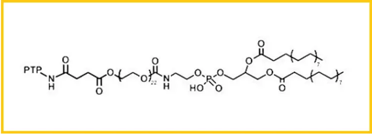 DSPE-PEG-PTP，PTP-PEG-DSPE，磷脂-聚乙二醇-靶向肽PTP