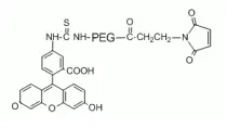 关于Fluorescein-PEG-Maleimide，FITC-PEG-MAL的应用