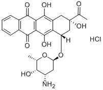 Idarubicin HCl,99%，活性氧抑制剂