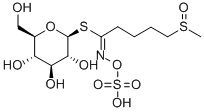 Glucoraphanin ,≥99%，抗氧化抑制剂，