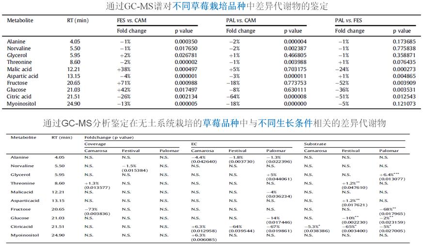 图片上传