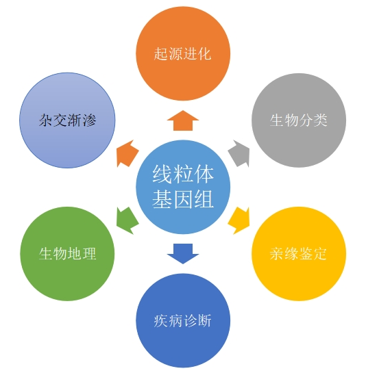 德尔塔生物