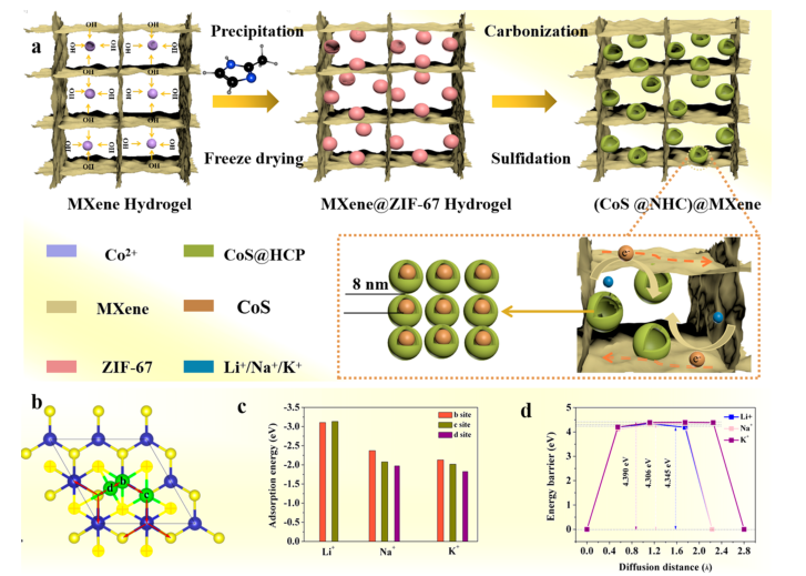 MOFs@MXene气凝胶复合材料衍生的MXene螺纹中空碳限域的CoS纳米颗粒