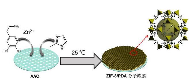 一种全新的绿色常温水相ZIF-8分子筛膜合成法